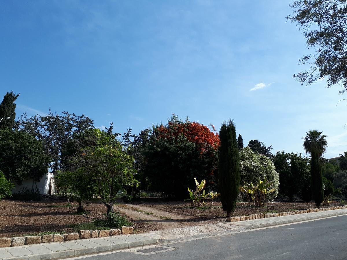 Pafilia Gardens Block 3 *